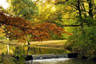 water-autumn-foliage-torrent-park-277614.jpg