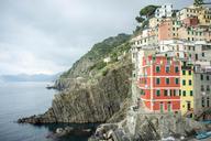 cinque-terre-italy-cliff-rocks-1067947.jpg