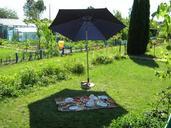 picnic-fun-eating-322665.jpg