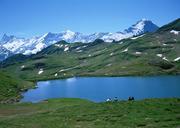 mountain-lake-near-the-Matterhorn-in-the-Swiss-Alps.jpg