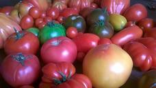 tomatoes-vegetables-food-diet-476552.jpg