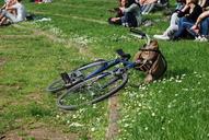 bicycle-park-sunday-637604.jpg