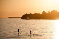 summer-summer-holiday-stand-paddle-1535105.jpg