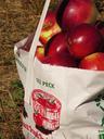 apples-fruit-food-red-fresh-796751.jpg