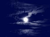 full-moon-clouds-branches-tree-558568.jpg