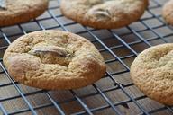 cookies-food-snack-chocolate-1449459.jpg