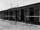 Stalls at Tanforan.jpg