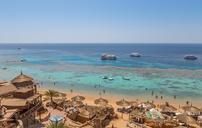 egypt-reef-coral-sea-water-938993.jpg