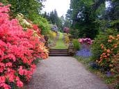 garden-flowers-bushes-path-tree-470704.jpg