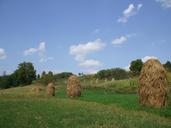 farmland-haystacks-countryside-1545053.jpg