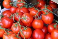 fresh-red-sweet-tomato-tomatoes-241045.jpg