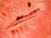 watermelon-slice-isolated-seeded-1552504.jpg