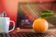 orange-office-fruit-juicy-food-287179.jpg