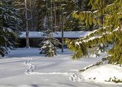 winter-scenery-canim-lake-181418.jpg