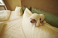 bed-pillow-sleep-1610696.jpg