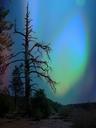 northern-lights-aurora-borealis-188767.jpg