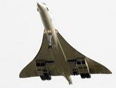 300px Concorde.planview.arp.q8.jpg