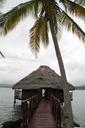 island-cabin-caribbean-palm-tree-436012.jpg