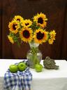 sunflowers-apples-still-life-fruit-1599683.jpg