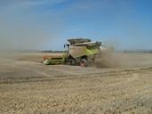 fields-harvest-grain-agriculture-837674.jpg