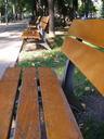 bench-benches-park-summer-nature-92774.jpg