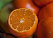 fruit-southern-fruits-whole-fruit-665621.jpg