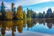 forest-autumn-golden-lake-pond-621687.jpg