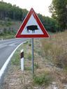 street-sign-wild-boar-road-594473.jpg