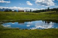 alm-alpine-meadow-landscape-austria-273281.jpg