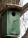 birdhouse-green-bird-garden-nature-199388.jpg