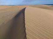 dune-desert-sand-landscape-457752.jpg