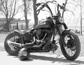 harley-harley-davidson-motorcycle-716354.jpg