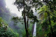 waterfall-rainforest-forest-nature-384663.jpg