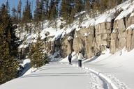 Skiing_on_Virginia_Cascades_Drive.jpg