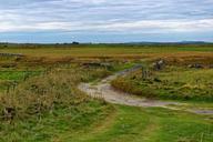 farmland-countryside-rural-nature-1070003.jpg