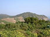 View from a hilltop in Tap Mun.jpg