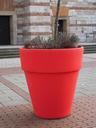 flowerpot-plus-size-red-1024815.jpg