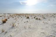 wilderness-mexico-national-sand-69392.jpg