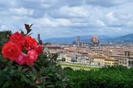 florence-firenze-italy-190191.jpg