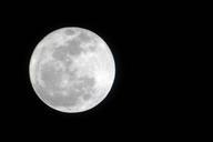 full-moon-moon-night-the-full-moon-298028.jpg