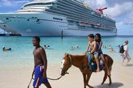 cruise-grand-turk-horse-on-beach-1198919.jpg