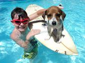 father-s-day-fun-surfing-doggy-840946.jpg