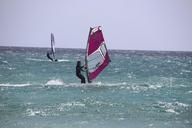 wind-surfing-windsurfer-windsport-298468.jpg