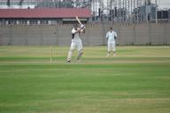 cricket-sport-drive-competition-655690.jpg