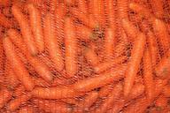 carrots-vegetables-carrot-cook-256690.jpg