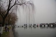 lake-view-weeping-willow-west-lake-656942.jpg