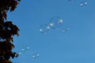 soap-bubbles-colorful-balls-1108843.jpg