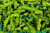 green-peppers-peppers-vegetables-497447.jpg