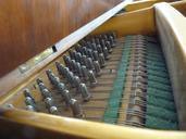 piano-music-strings-musical-442093.jpg