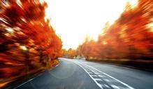 speed-the-scenery-autumn-669606.jpg